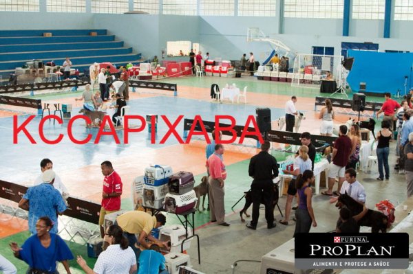 Clique sobre a foto para fechar